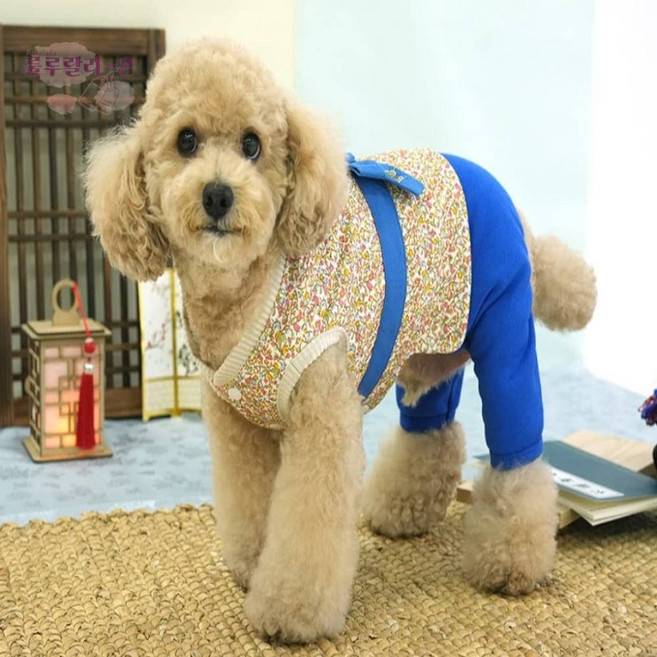 호기마트 패리스독 강아지한복 남L 강아지추석옷