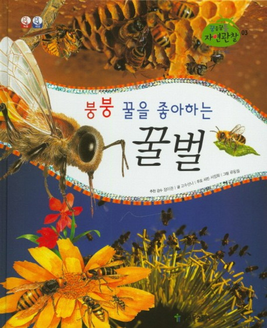 붕붕 꿀을 좋아하는 꿀벌, 한국톨스토이