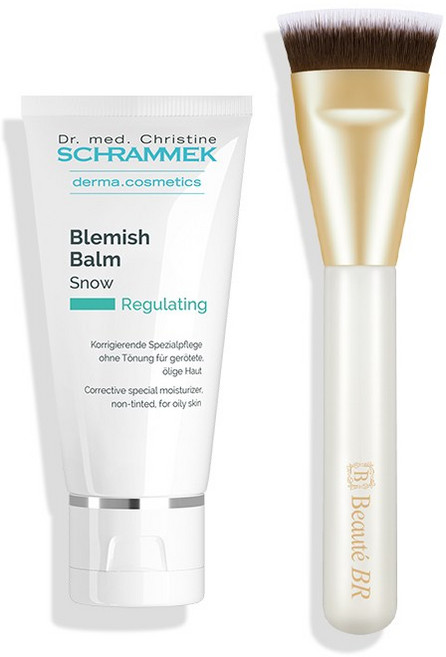 닥터슈라멕 블레미쉬 밤 스노우 40ml + 4가지 옵션 중 택1, SNOW 40ml + 시그니처 브러쉬, 1개