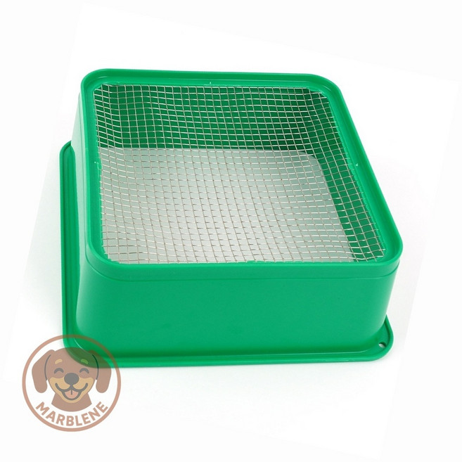 국산 사각 묵채 우무가사리채 우묵가사리묵채, 사각우무가사리채