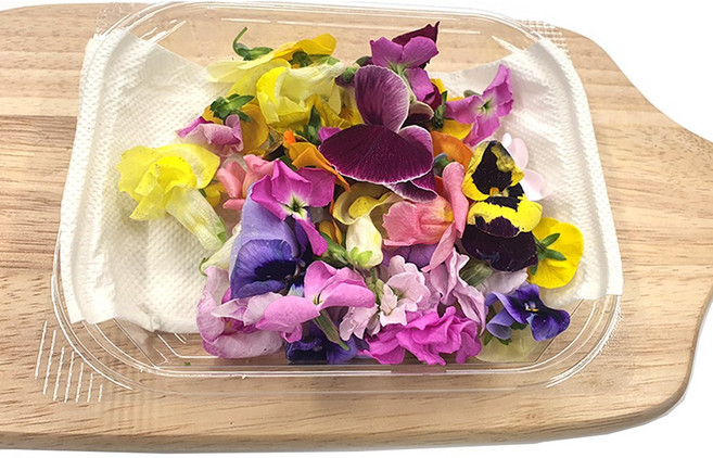 야채왕 식용꽃 1팩 혼합(랜덤), 1개