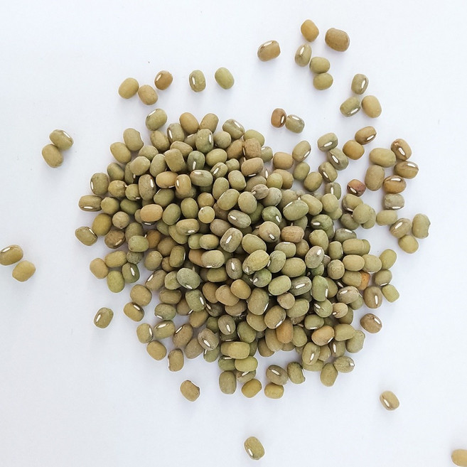 日生元 綠豆, 1個, 毛綠豆（一斤）, 600g