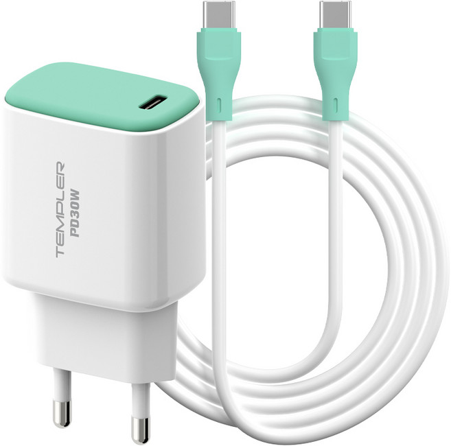 템플러 30W 1포트 C타입 PD 초고속충전기 + 45W 1M CtoC 케이블 세트, 1세트, 민트