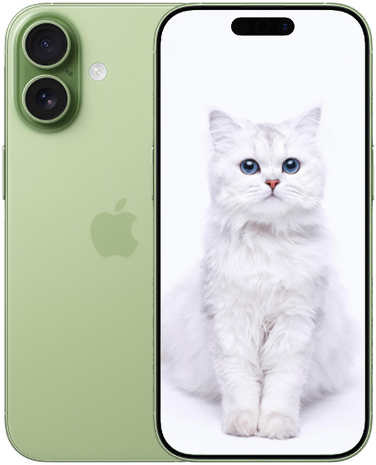 i폰 17 새상품 미개봉, 256GB, SG 세이지 색상