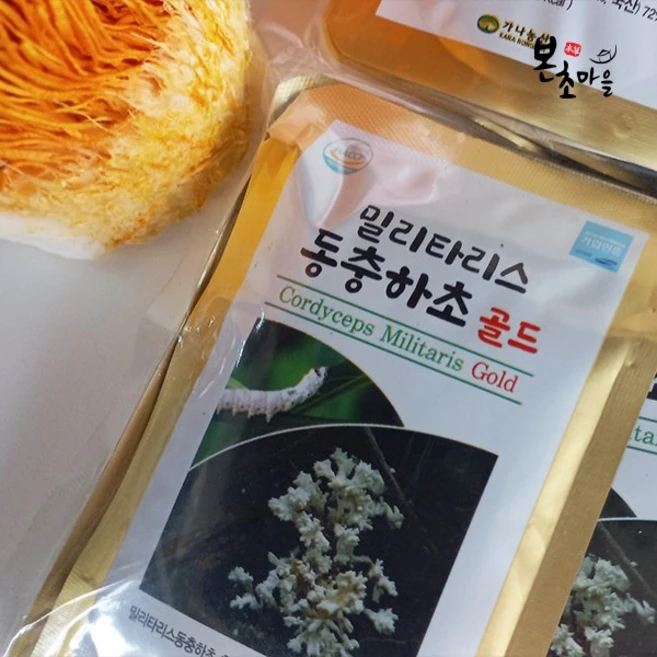 밀리타리스 동충하초 골드(벌크형) 동충하초 건강버섯 종균버섯 종균동충하초 동충하초분말 동충하초액, 1박스, 2.4L - 쿠팡