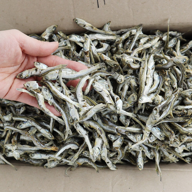 동해청정 다시멸치 햇멸치 대멸치 육수내기 멸치국물, 1.5kg(상품A/박스), 1개