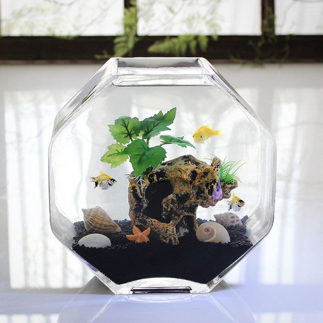 玻璃魚缸 花瓶 水培器皿 桌面小型魚缸, 1個, 大號魚缸+套餐12