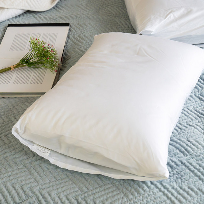 호텔식 폴란드 덕앤 구스베개+베개커버(40x60 50x70), 화이트, 1개