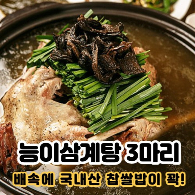 능이버섯 한약재 국내산 능이삼계탕 1.5kg, 1개