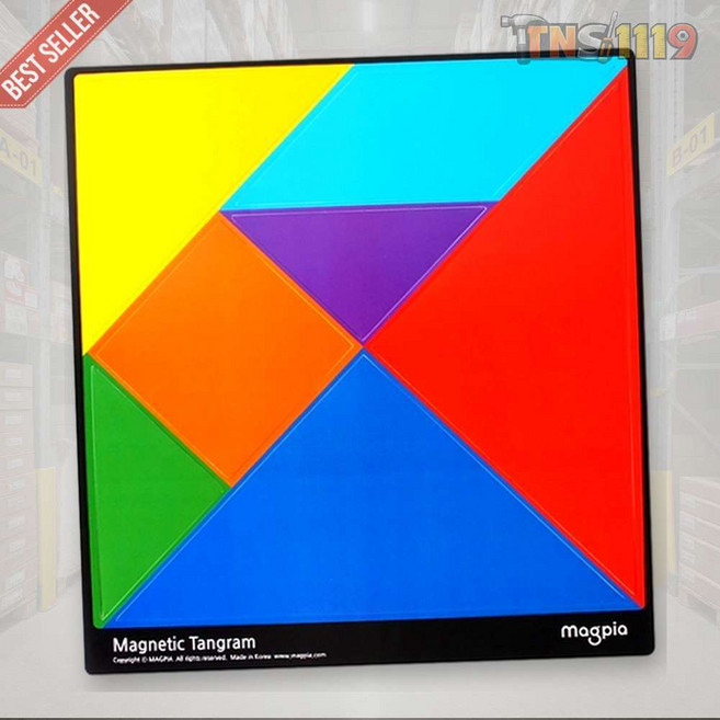 티엔에스 마그피아 자석칠교놀이 교사용 MTGM-07-02 300x300x5mm 학습용 교구