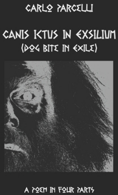 Canis Ictus in Exsilium: Translated from the Sermo Vulgaris a Poem in Four Parts Paperback, Country Valley Press, English, 9780982019658
