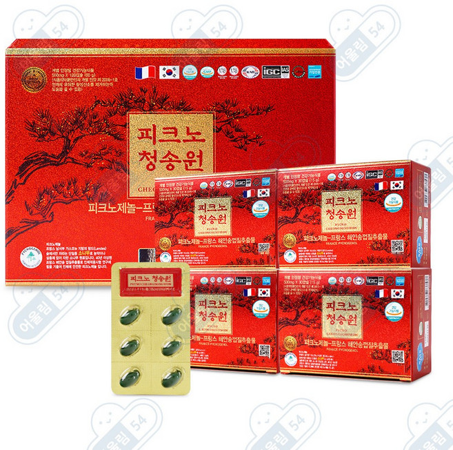 피크노 청송원 500mgx120캡슐 피크노제놀 솔잎증류농축액 적송유 송침유 솔잎기름 (활성산소 제거 항산화 영양제), 1개, 120정