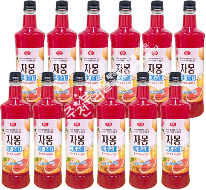 광야식품 자몽 베이스 아이스티, 970ml, 12개