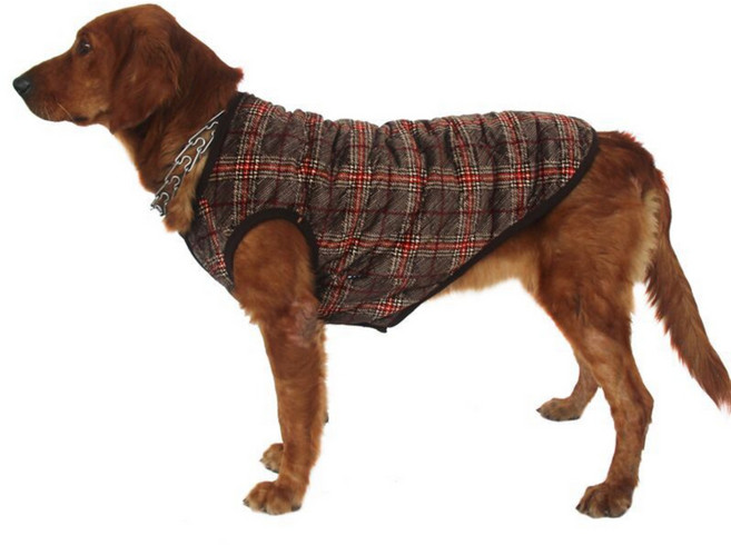 강아지 김장 조끼 고양이 누빔 수면 할매 반려견 할머니 호랑이마켓, L, 1개