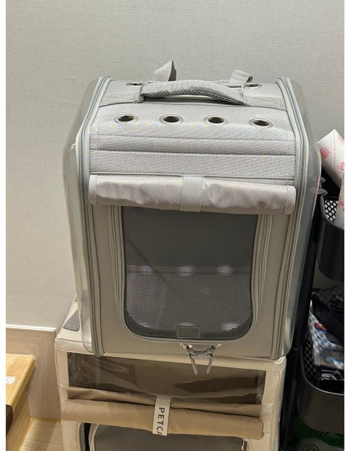 옥희독희 네모백팩 투명 고양이이동장 애견 강아지 가방 캐리어, 네모백팩 불투명, 리뷰약속 O (호두냥냥 종이 숨숨집 선물), 1개