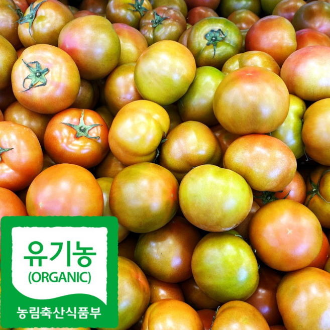 산지직송 국내산 친환경 동양종 찰 토마토, 1박스, 1kg