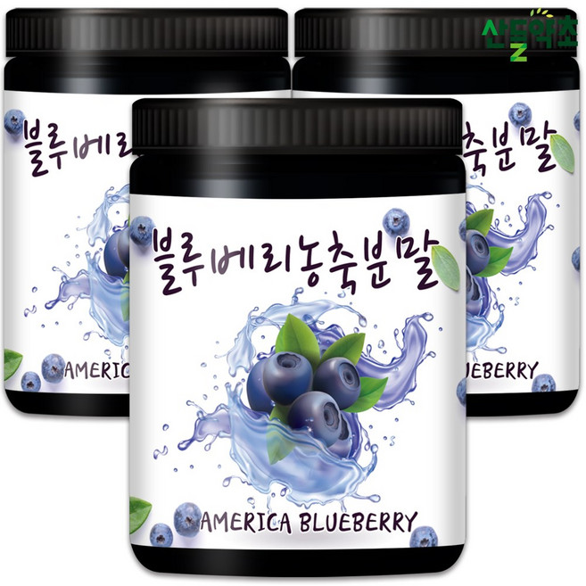 산들약초 미국산 블루베리농축분말 (블루베리농축액), 300g, 3개