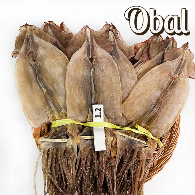 [오발] 국내산 마른오징어1.2Kg 1축 20마리, 1개