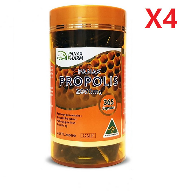 JNC PANAX Propolis 2000mg 프로폴리스2000 365정 4팩, 4개