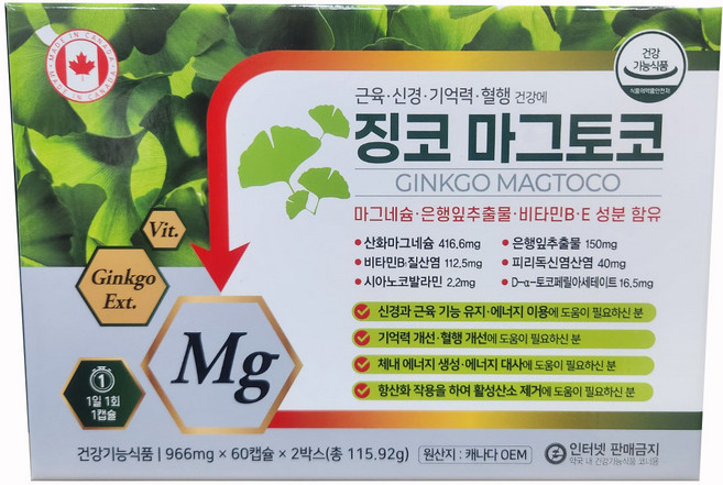 혈행 개선 마그네슘 영양제 징코마그토코 은행잎추출물 토코페롤 피리독신 시아노코발라민, 1박스