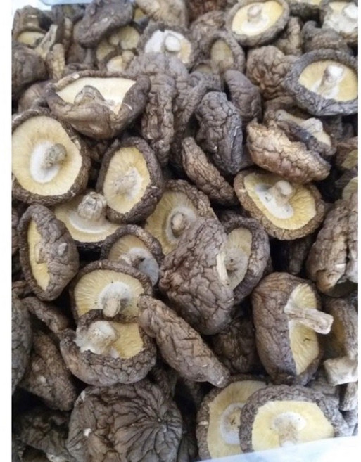 埔里香菇 小中鈕扣菇 十元大小 伴手禮, 1個, 150g
