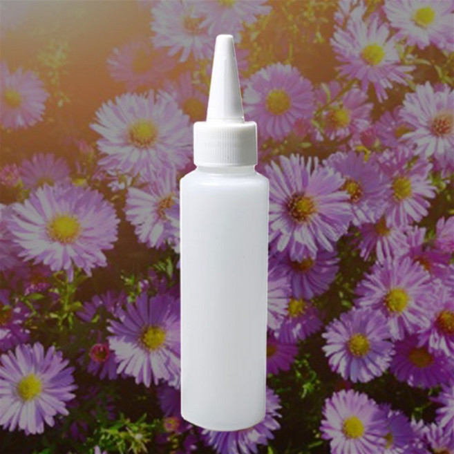 바이올렛 Violet '우아한 제비꽃향' ( 프래그런스오일 ), 20ml, 1개
