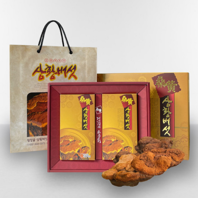청정골농장 상황버섯세트 1호 100g [3년산특상품] 뽕나무 참나무 장수상황버섯 [원산지:국산(인천광역시 강화군)], 1개