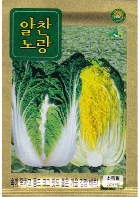 영농사 <알찬노랑 배추 씨앗 500립> 김장배추씨, 1개