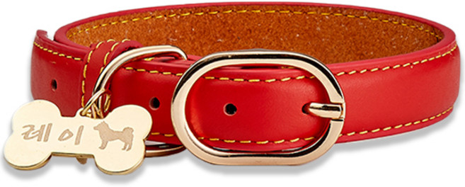 자체제작 아미펫 실루엣 각인 컬러가죽 강아지목줄 & 인식표, 레드뼈다귀펜던트, 1개