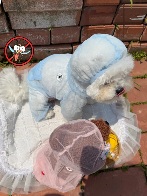 강아지 진드기 해충방지옷 포켓터블 모기장 망사 올인원s, 블루, 1