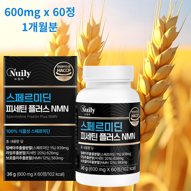 [상상건몰] 식물성 밀배아 스페르미딘 포뮬러 플리아민 뉴일리 스페르미딘 파세틴 플러스 NMN, 4박스, 60정