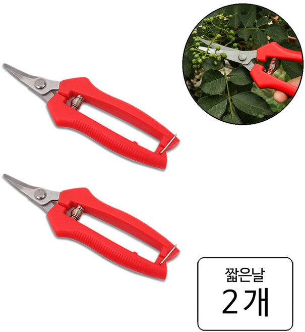 룰루랄라 원예 과수 적과 관리 코너 휘어진 곡가위, 짧은날(11421), 2개