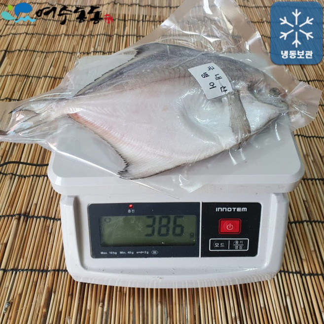 국내산 여수 특대병어 300g이상 28cm 1마리, 1개, 300g