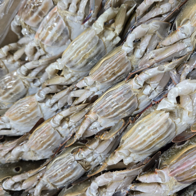 삼점게 냉동 꽃게 통게(라운드) 100-150 150-200 간장게장용 업소용 6kg, 1박스, 암게 60-80(라운드, 통게)