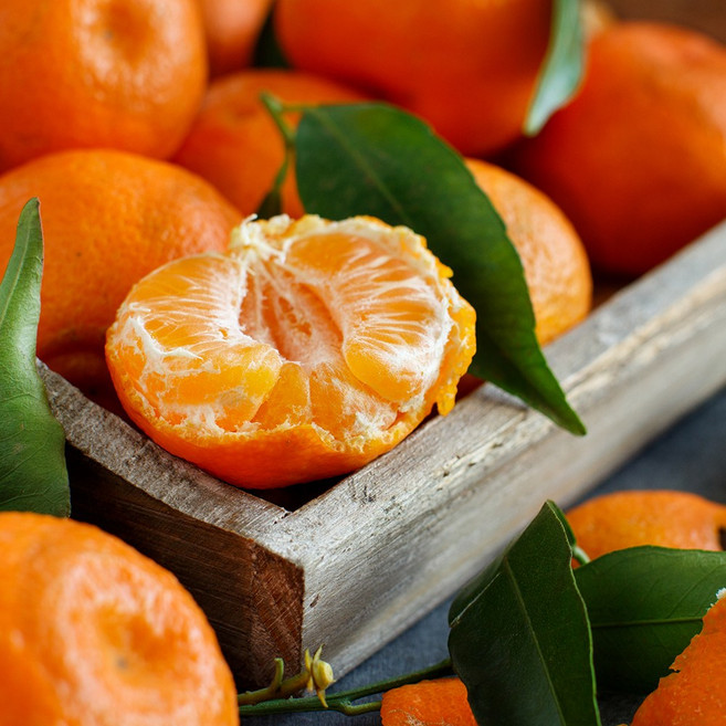 제주 가정용, 1개, 카라향 2.5kg 대과(10-15과 내외)