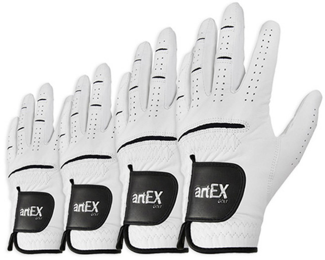 [artEX] 아텍스 골프장갑 올양피 남성용 / 4장세트, 4개, 화이트