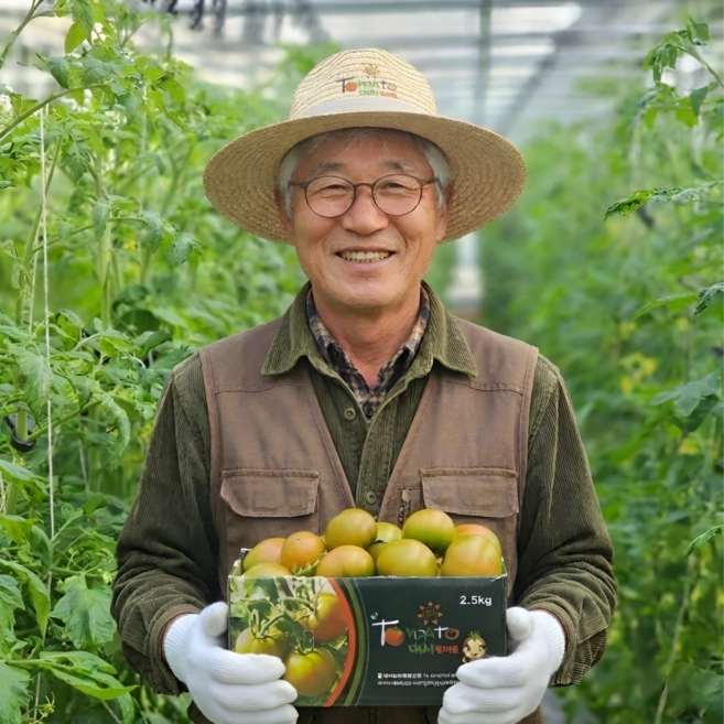부산 대저토마토 짭짤이, 1개, 10kg