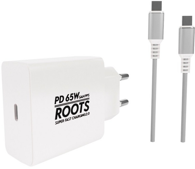 루츠 65W Gan PD PPS C타입 국내생산 초고속 충전기 + C to C 100W 5A E Marker 1.5M 케이블포함, 화이트, 1개