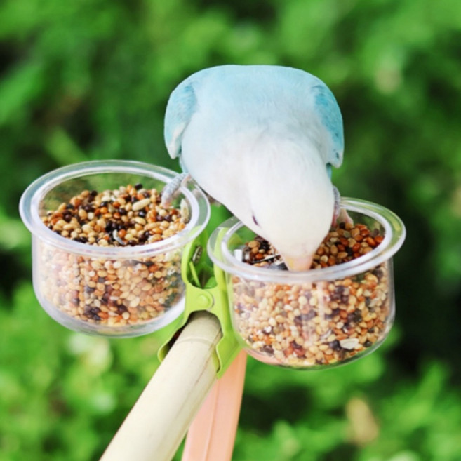 소형 앵무새 집게형 투명 횃대 2구 모이통