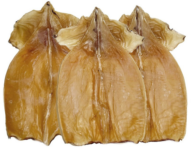 장수왕 건오징어 몸통 /마른 안주 오징어 건조 간식 건어물, 1개, 건오징어 몸통 대자 1kg내외(10마리 내외)