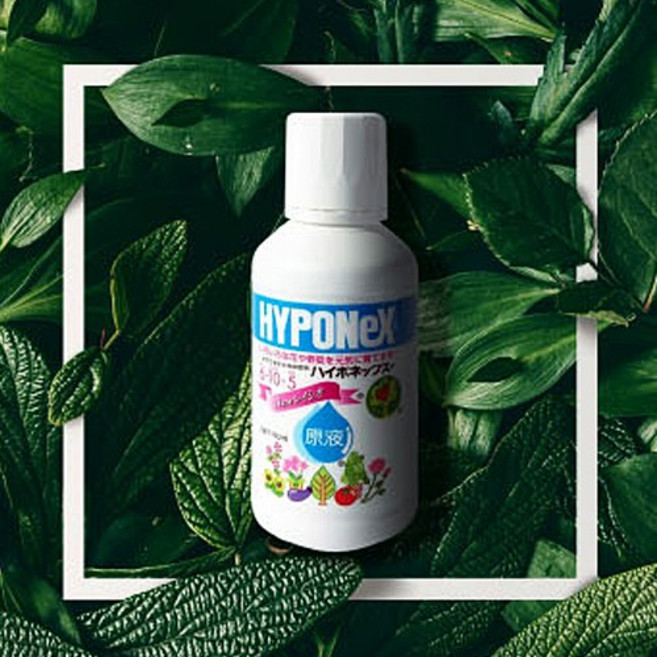 하이포넥스 레이쇼 원액 160ml 식물영양제 6-10-5, 1개