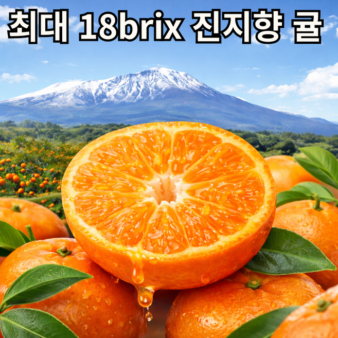 제주 하우스 귤 진지향 특품, 1박스, 10kg