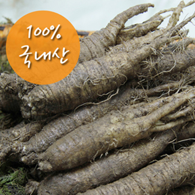 금산인삼 가정용더덕(특상)800g 무료세척, 1개, 800g