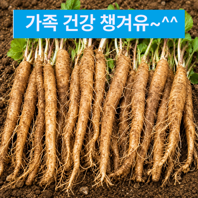 [한정특가] 농가직송 강원도 정선 더덕, 1박스, 1Kg