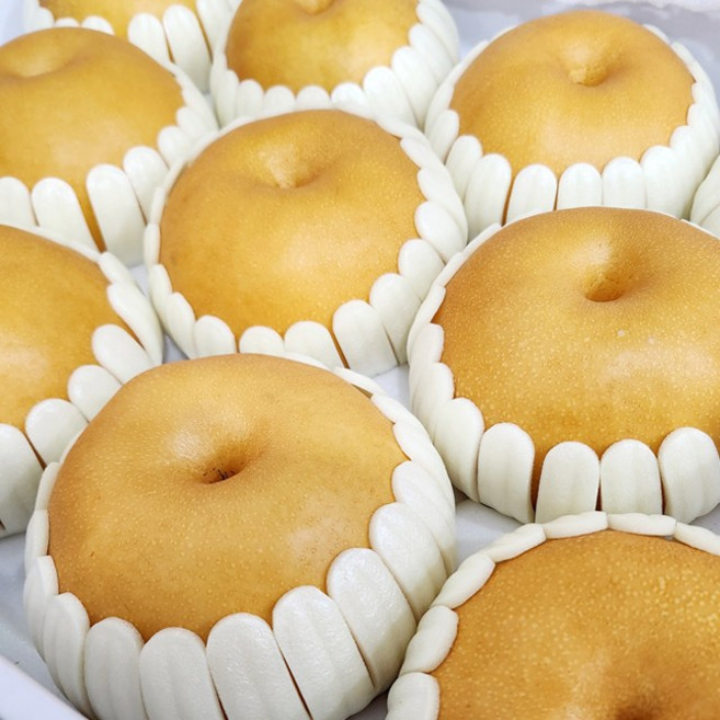 배 선물세트 나주 원황 신고 가정용 벌크 일반 선물용 과일세트 명절선물, 1개, 10kg 일반포장 (17-19과)