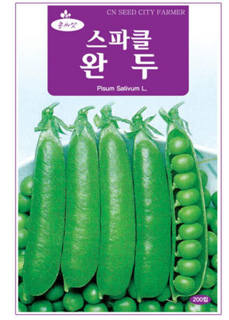 청농 스파클 완두콩 씨앗 200립, 1개