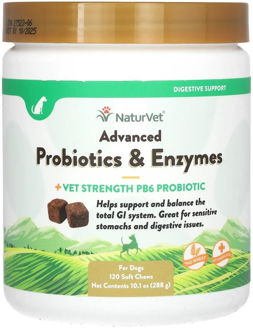 NaturVet 어드밴스드 프로바이오틱 & 효소 + 베지 강도 PB6 프로바이오틱 반려견용 소프트츄 120개 288g(10.1oz), NaturVet어드밴스드프로바이오틱효소베지강도PB6프로, 1개 - 쿠팡