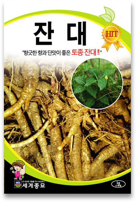 잔대씨앗 1g 텃밭 주말농장 토종잔대 종자 (잔대씨앗 1g 텃밭 주말농장 토종잔대 종자), 1개