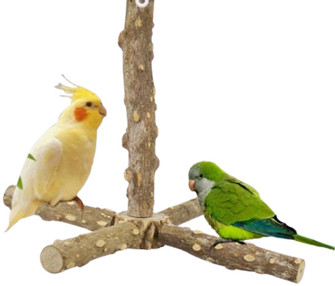 파르고 회천형 풍차 후추나무 발톱 부리 갈이 스트레스 해소 앵무새 횟대, 1개