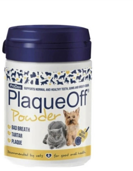 프로덴 플라그오프 영양제 40g, 구강/치석관리, 3개 - 쿠팡